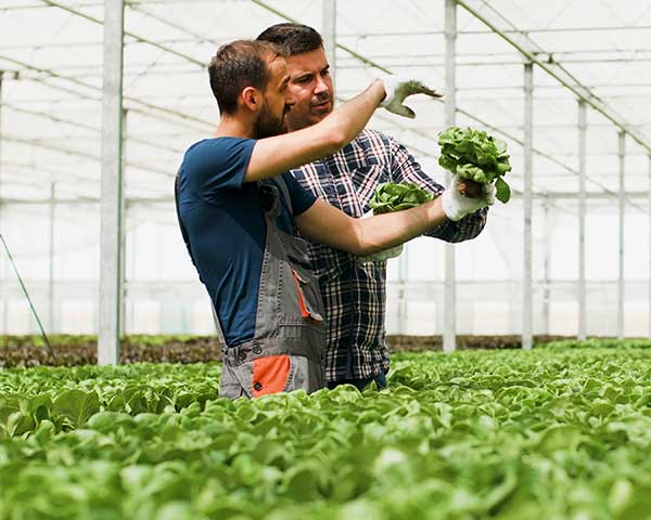 La Mipe du Pays de Saint-Omer vous aide à mieux connaître les métiers et secteurs qui recrutent